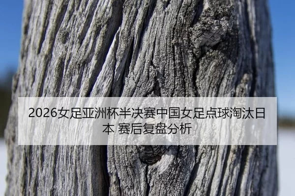 nv-zu-ya-zhou-bei-ban-jue-sai-zhong-guo-nv-zu-dian-qiu-tao-tai-ri-ben-sai-hou-fu-pan-fen-xi-1-283.jpg